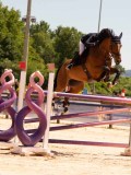 DSC03534 DSC03534