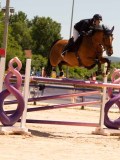 DSC03535 DSC03535