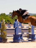 DSC03538 DSC03538