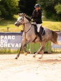 DSC07679 DSC07679