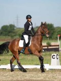 DSC06734 DSC06734