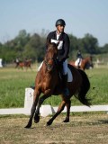 DSC06736 DSC06736