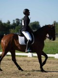 DSC06739 DSC06739