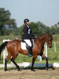 DSC06742 DSC06742