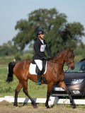 DSC06744 DSC06744