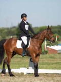 DSC06745 DSC06745