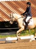 DSC02378 DSC02378