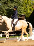 DSC02379 DSC02379