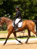 DSC03118 DSC03118