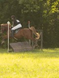 DSC08769 DSC08769