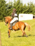 DSC08774 DSC08774