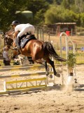 DSC07694 DSC07694