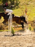 DSC07695 DSC07695
