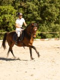 DSC07698 DSC07698