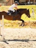 DSC07706 DSC07706