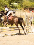 DSC06468 DSC06468