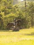 DSC08830 DSC08830
