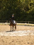 DSC05274 DSC05274