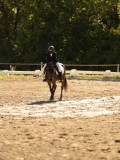 DSC05275 DSC05275