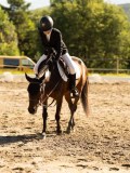 DSC05278 DSC05278
