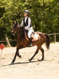 DSC06747 DSC06747