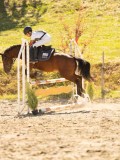 DSC07854 DSC07854