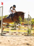 DSC07855 DSC07855
