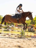 DSC07856 DSC07856