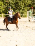 DSC07857 DSC07857