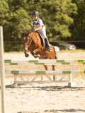 DSC07859 DSC07859