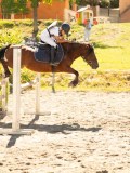 DSC07865 DSC07865
