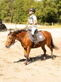 DSC07868 DSC07868