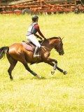 DSC00116 DSC00116