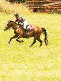 DSC00130 DSC00130