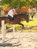 DSC08178 DSC08178
