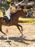 DSC08179 DSC08179