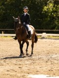DSC05598 DSC05598