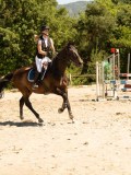 DSC07325 DSC07325
