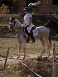 DSC01490 DSC01490