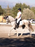 DSC01496 DSC01496