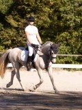 DSC01506 DSC01506