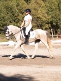 DSC01511 DSC01511