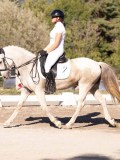 DSC01514 DSC01514