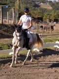 DSC01518 DSC01518