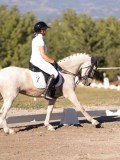 DSC01523 DSC01523