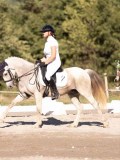 DSC01527 DSC01527