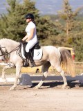 DSC01529 DSC01529