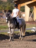 DSC01531 DSC01531