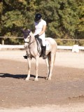 DSC01532 DSC01532