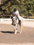 DSC01533 DSC01533